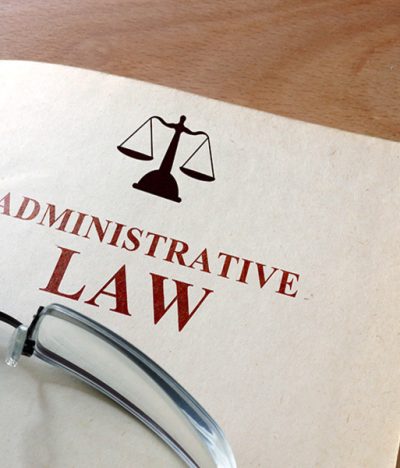 Lessons in Administrative Law – V